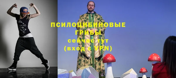 mix Богородицк